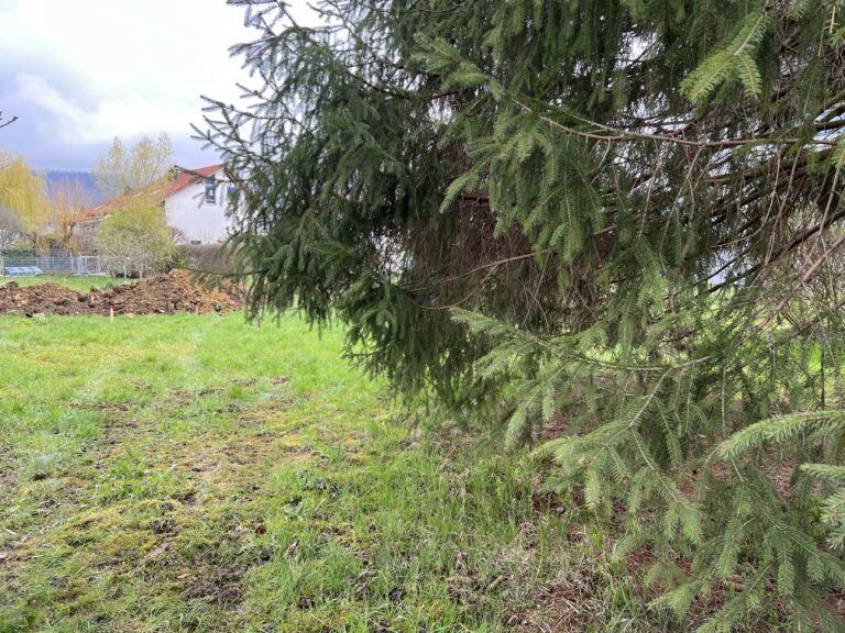 Der Startschuss für unser Bauprojekt